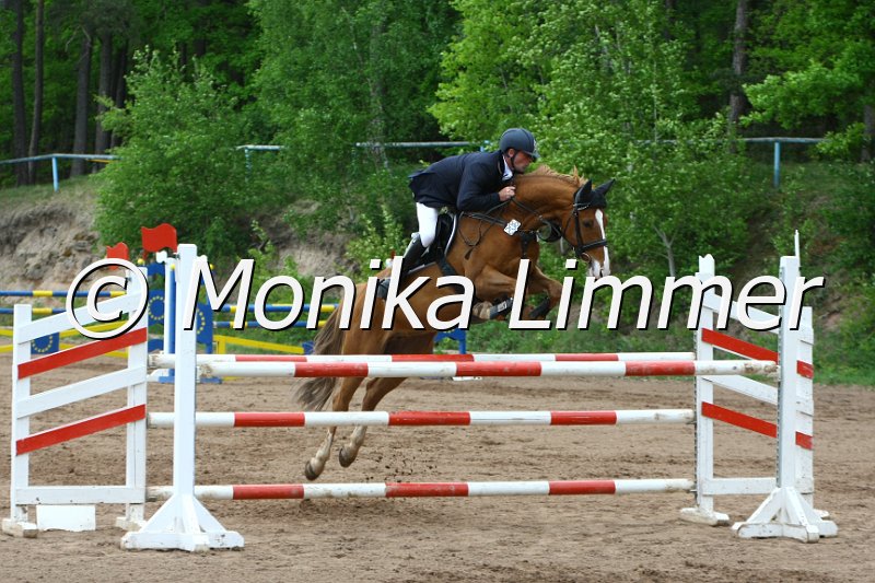 104M4185_paulinchen_Spring M.JPG